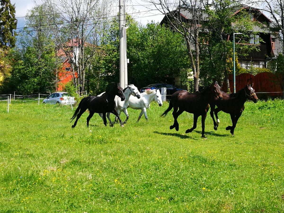 ホテル Penzion Monty Ranch Vysoke Tatry Štôla エクステリア 写真